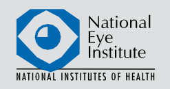 02National_Eye_Institute.png